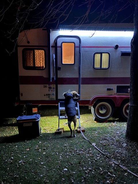 Durby would like to go into Jeff and Teresa's camper