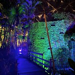 Botanical garden at night