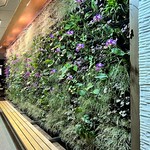 A neat plant wall idea